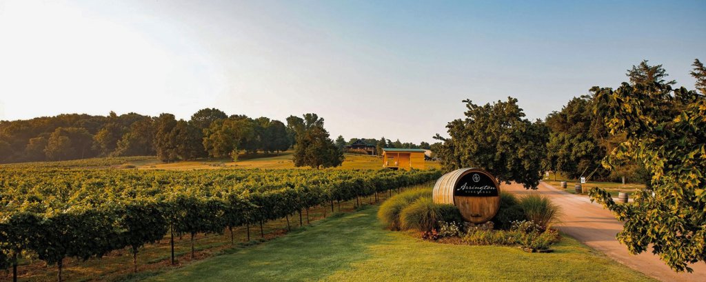 Top 10 Things to Do in Franklin A scenic view of a vineyard with a large wine barrel sign at the entrance in Williamson County, Tennessee.