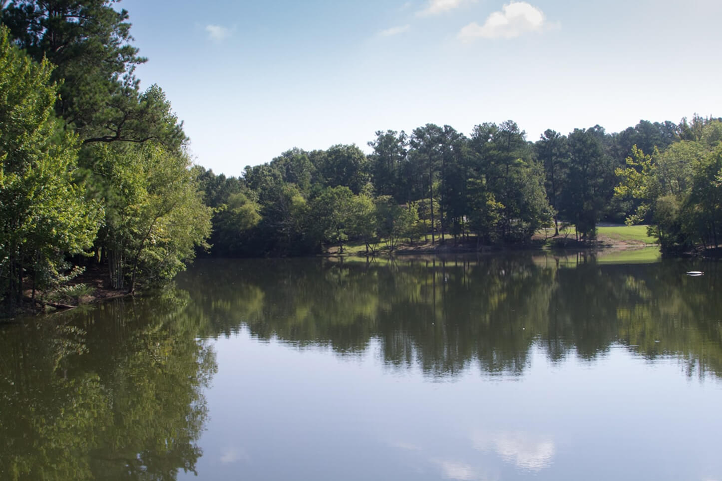 Top 10 Things to Do in Franklin A calm lake surrounded by lush green trees under a clear blue sky in Williamson County, Tennessee.