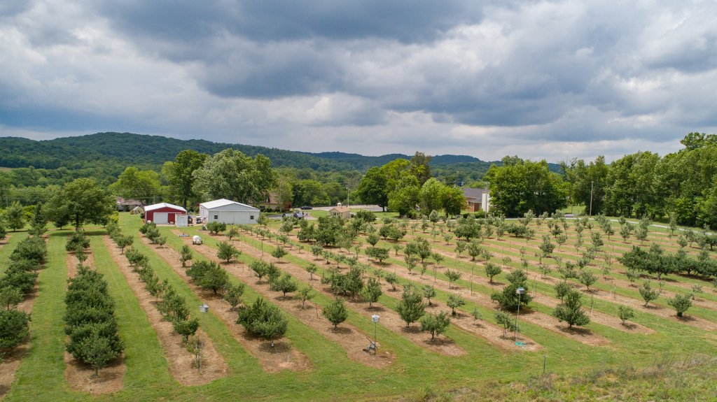 How Morning Glory Orchard Packs Bushels of Fun into a Small Peach & Apple Farm How Morning Glory Orchard Packs Bushels of Fun into a Small Peach & Apple Farm