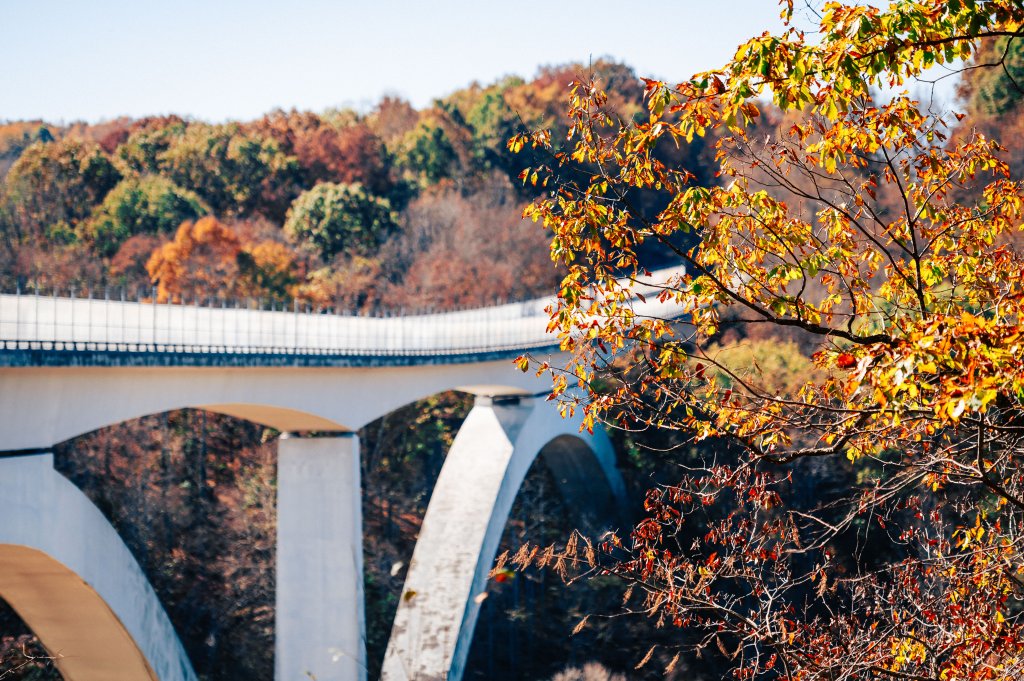A white concrete bridge arches through a forest with vibrant autumn foliage in Williamson County, Tennessee.