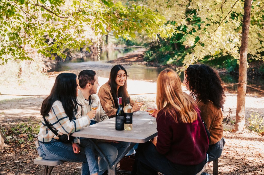 A group of friends enjoying wine at a picnic table in a wooded area in Williamson County, Tennessee.