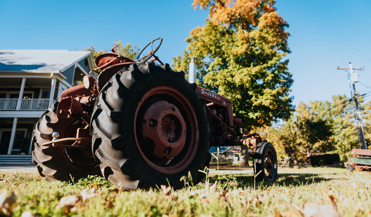 Homepage A vintage red Farmall tractor parked on a grassy lawn during autumn in Williamson County, Tennessee.