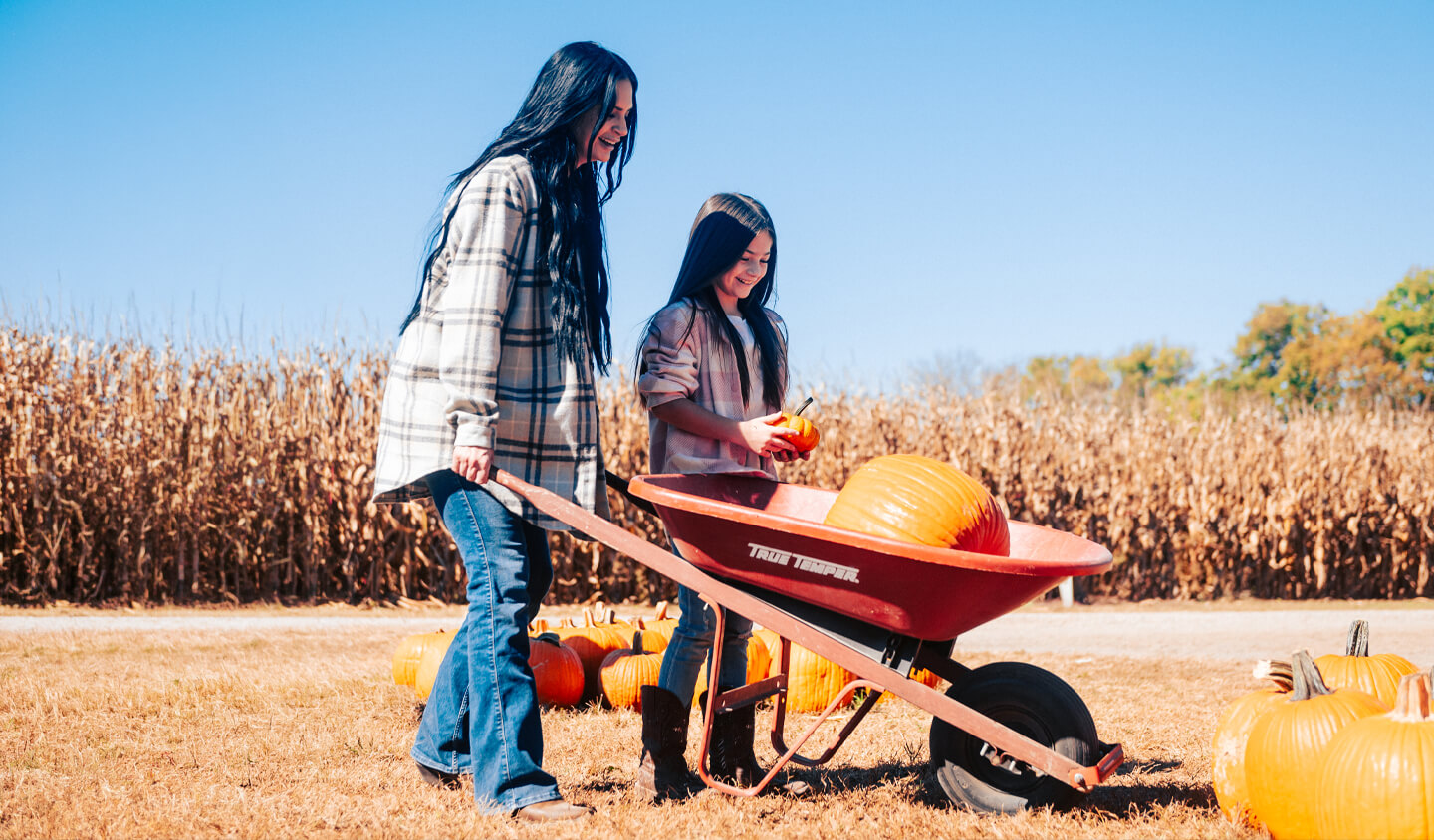 Homepage A mother and daughter pushing a wheelbarrow filled with pumpkins in a field in Williamson County, Tennessee.
