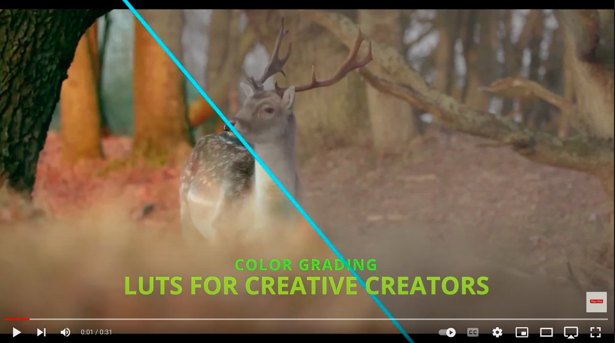 Film Looks for BMPCC – Blackmagic Pocket Cinema Camera