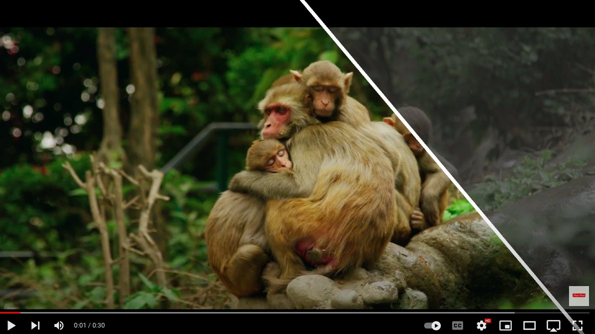 LUTs Film Professional Tones for Red Cameras R3D Ipp2 Workflow