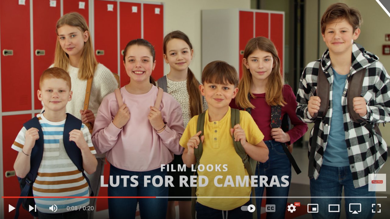 Cine Looks for Red Cameras – Red Komodo, V-Raptor, Raven, Monstro