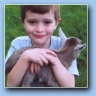 [Click to enlarge image]