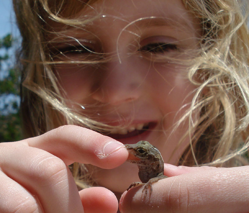 anna-loves-lizards