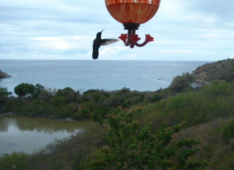 kiddel-bay-porch-view