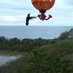 kiddel-bay-porch-view