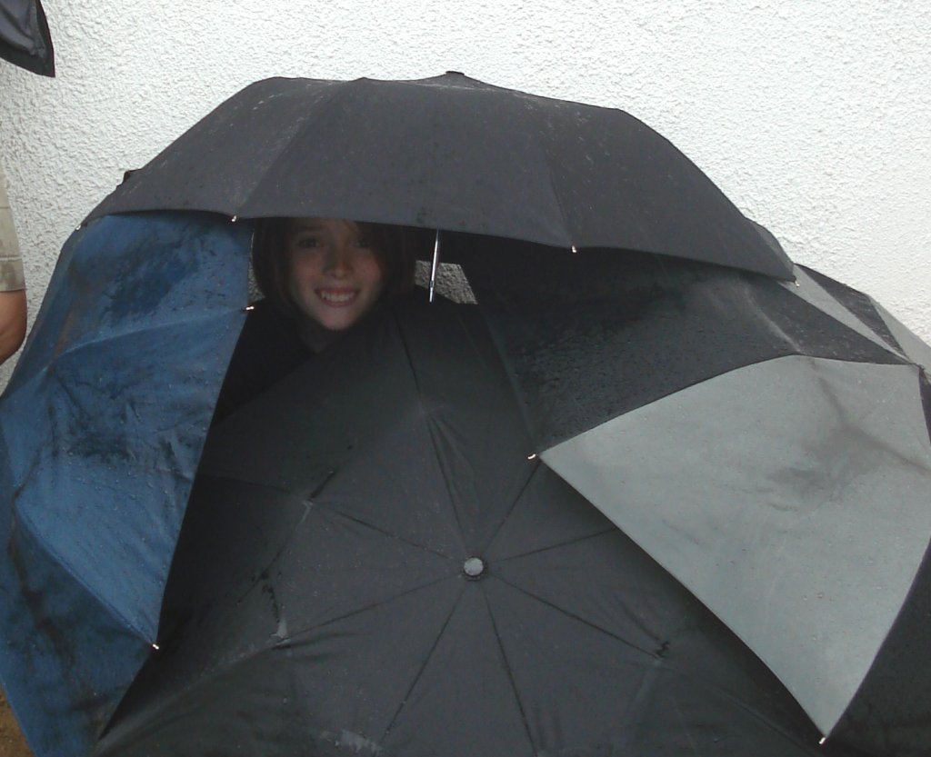 Fireworks Rain Fort.JPG