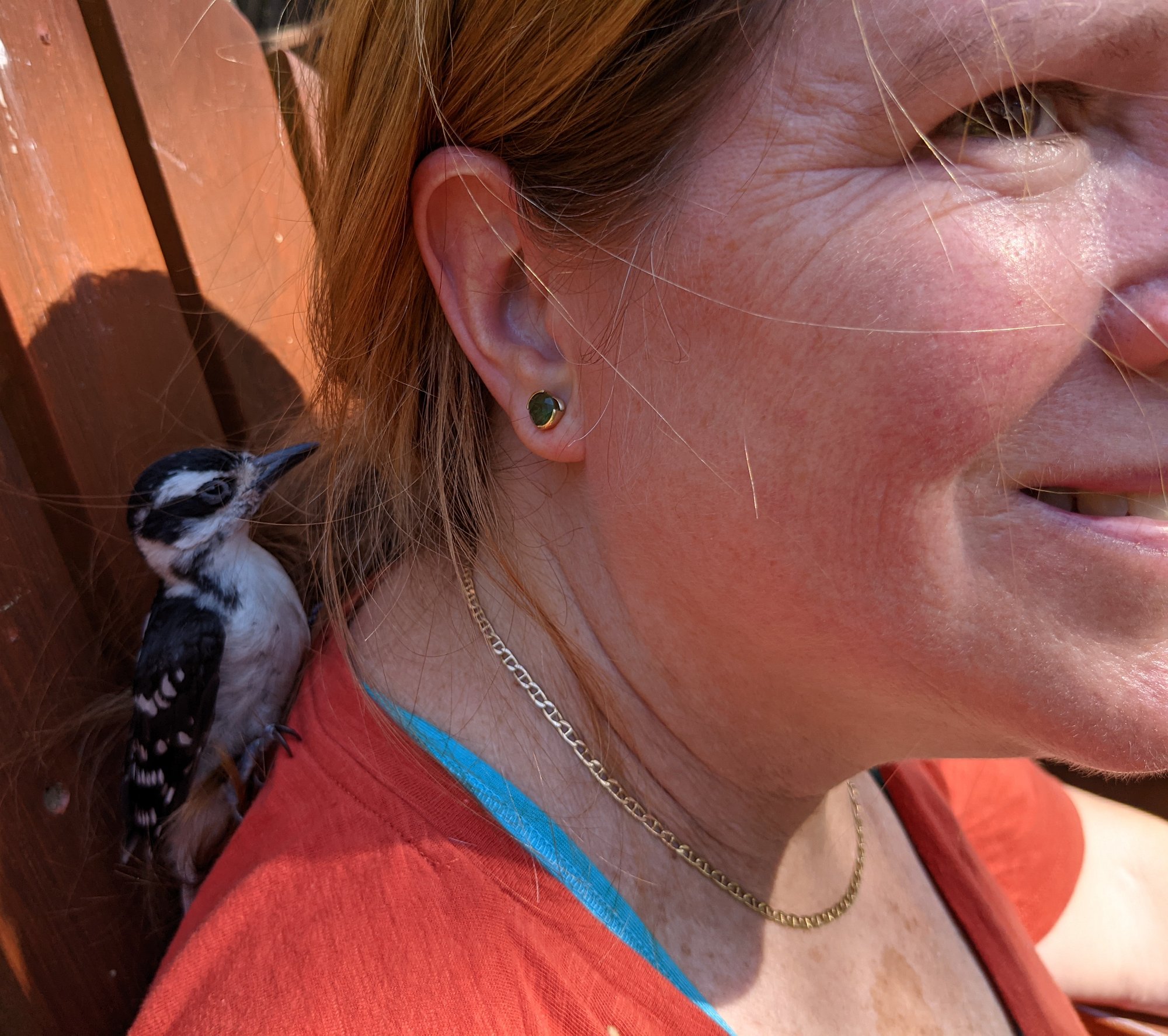 PXL_20210523_151946980.MP