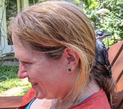 PXL_20210523_152202364.MP