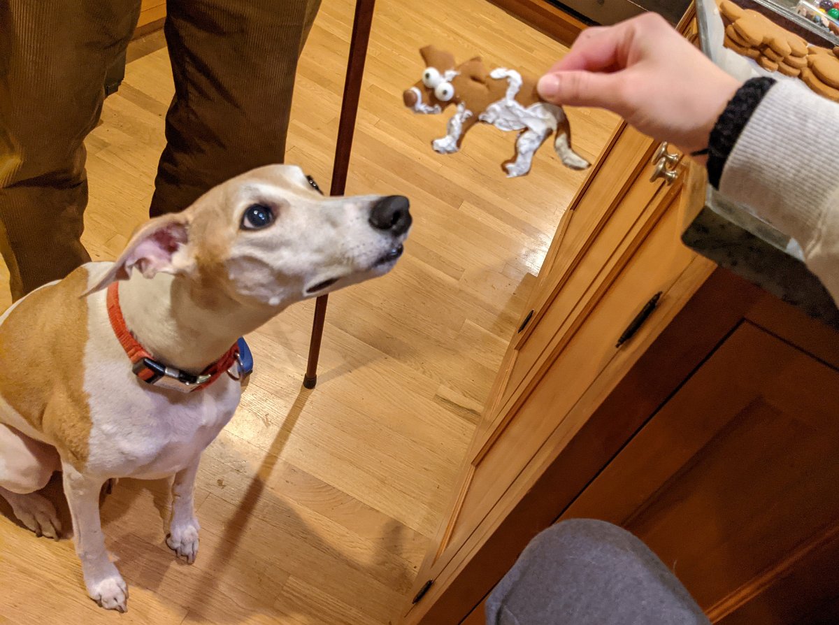 PXL_20211127_003154560