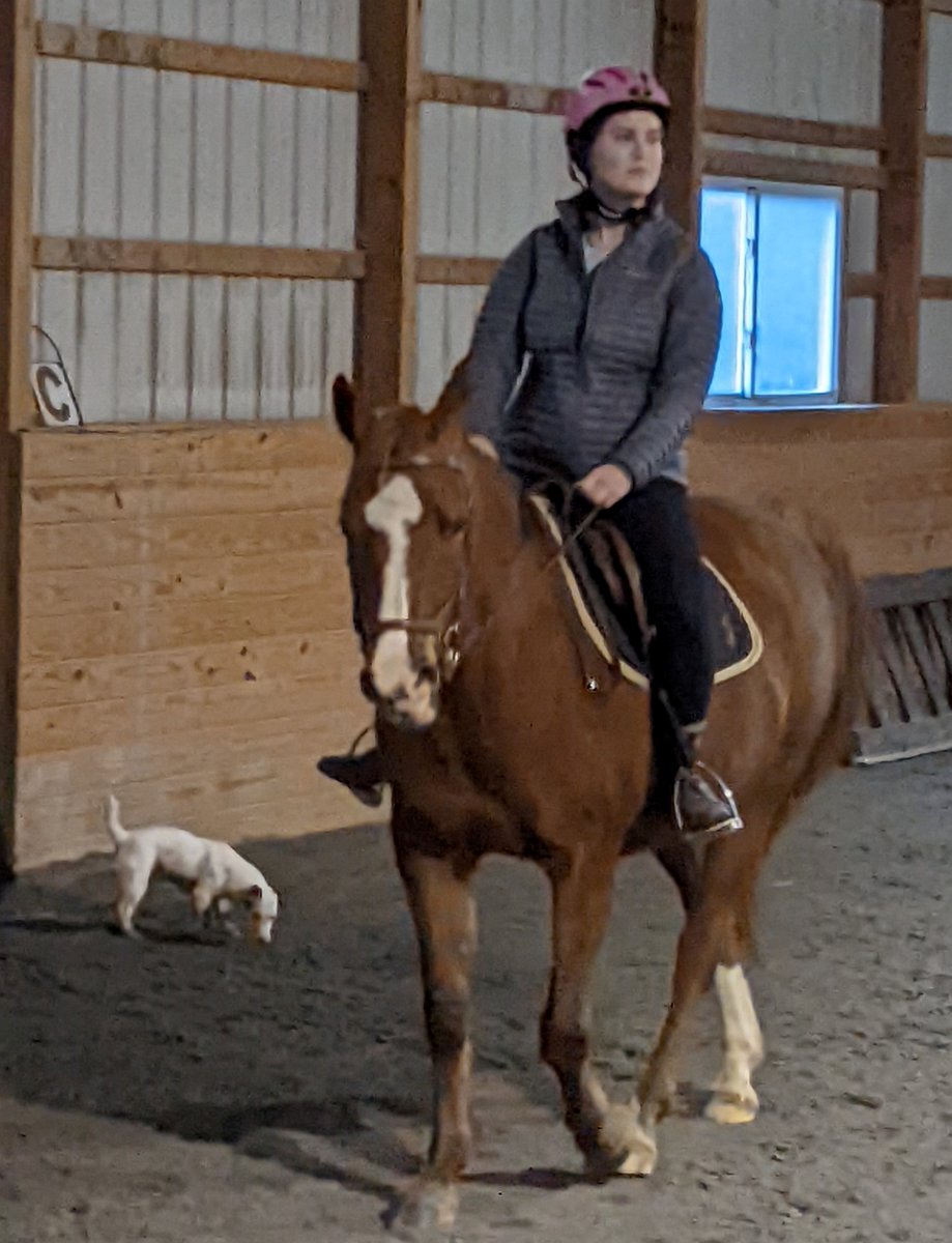 PXL_20220101_201551388.MP