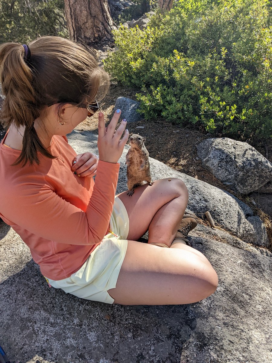 PXL_20220702_153202550.MP