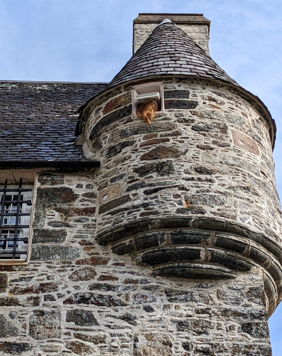 PXL_20220824_092330312