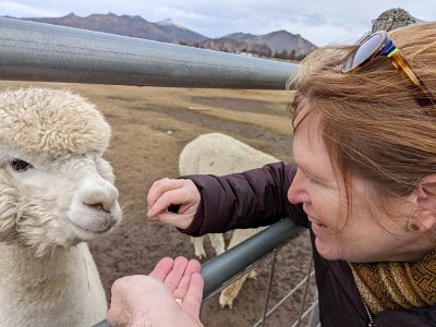 PXL_20211223_201909976