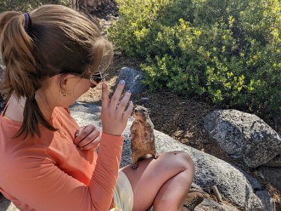 PXL_20220702_153202550.MP