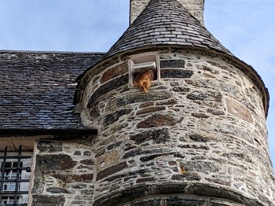 PXL_20220824_092330312