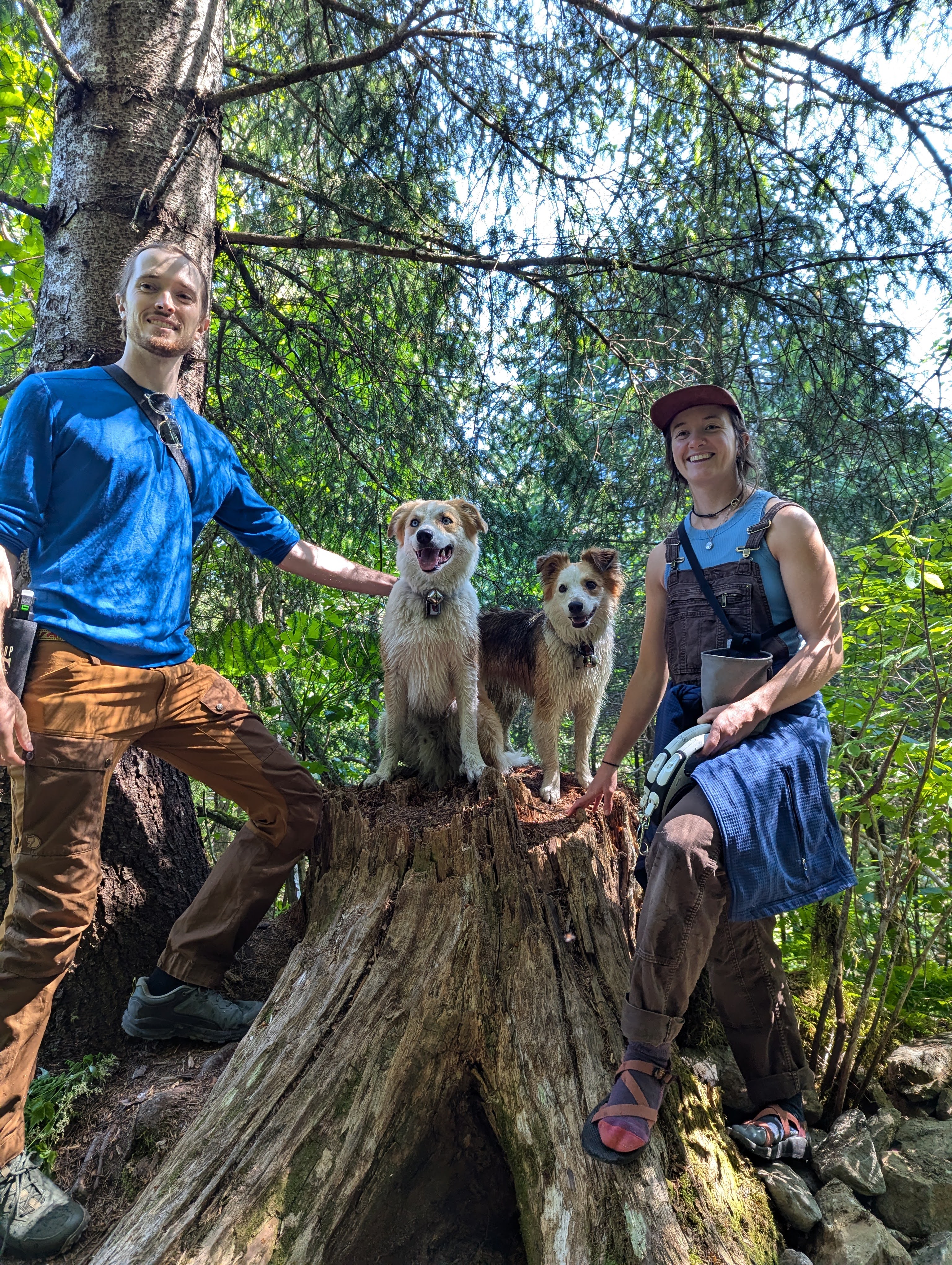 PXL_20240703_220331345