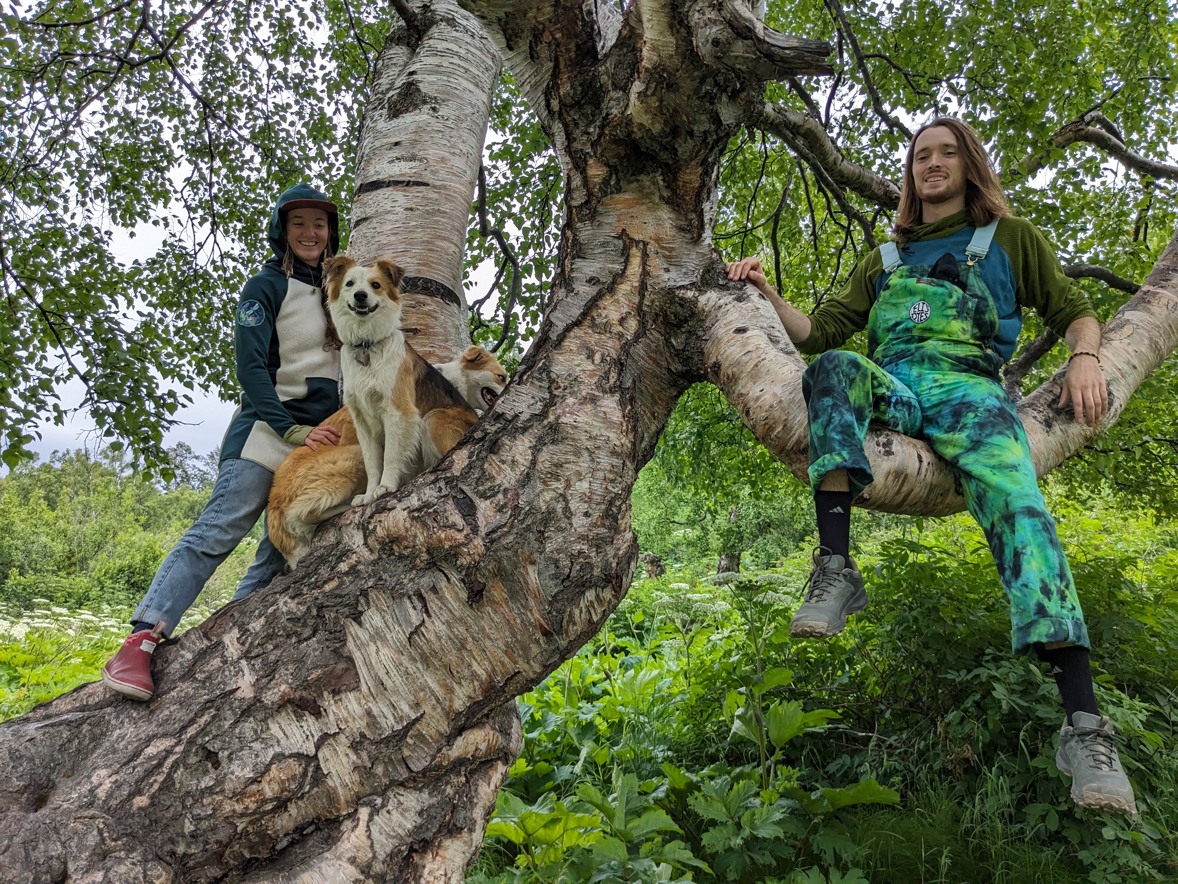 PXL_20240706_003748656.MP