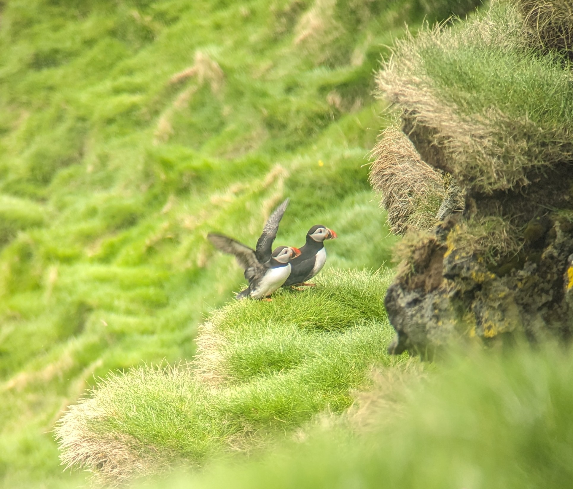 PXL_20240516_144134564.MPb