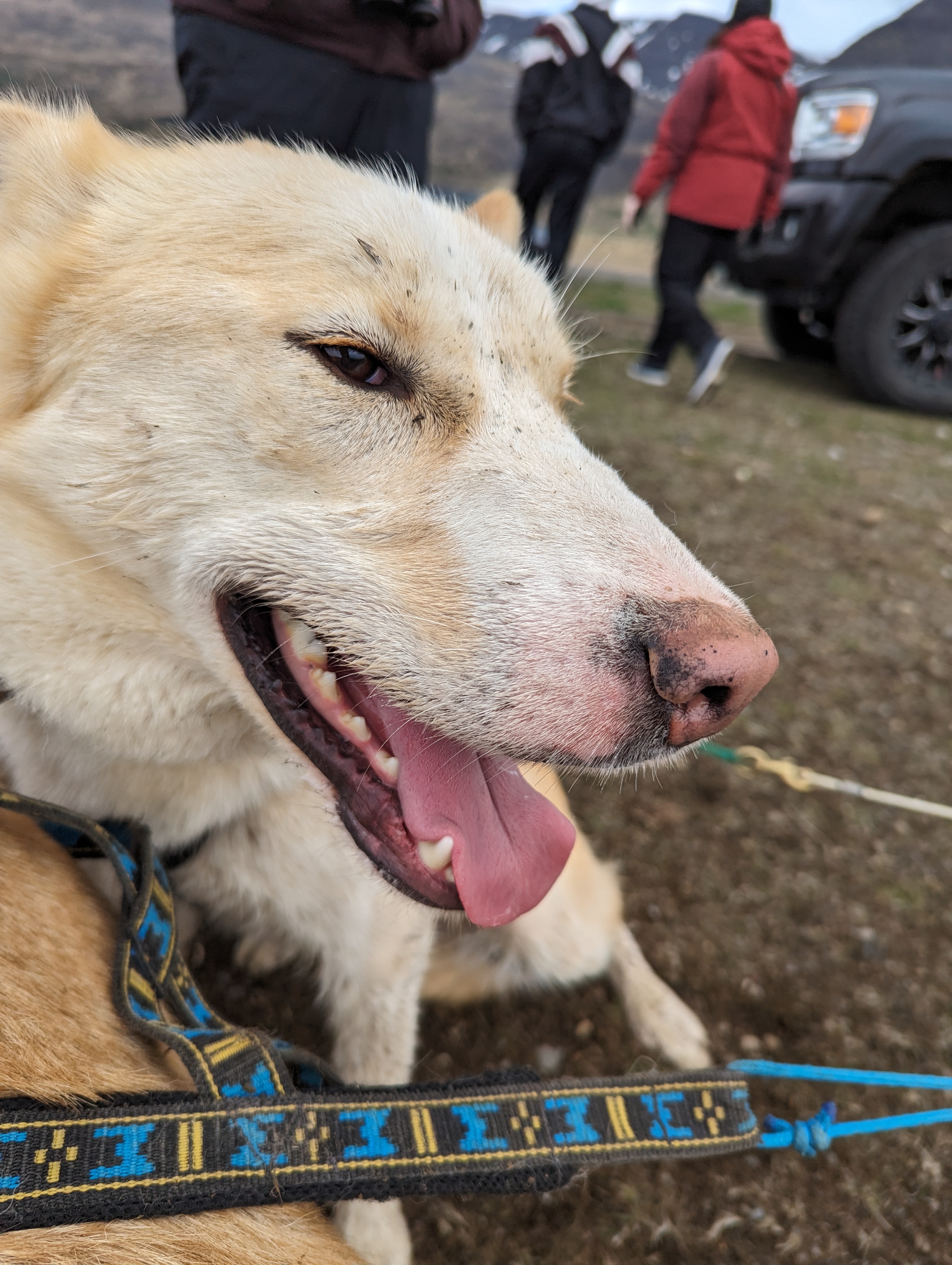 PXL_20240521_110717780