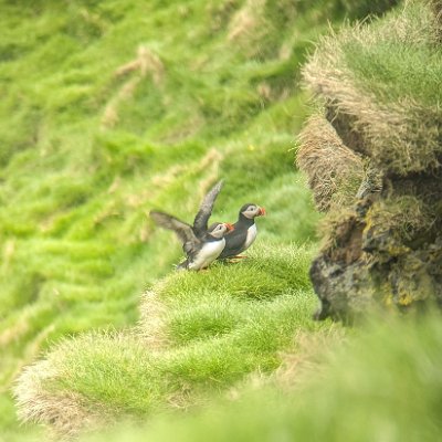 PXL_20240516_144134564.MPb