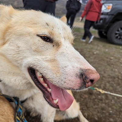 PXL_20240521_110717780