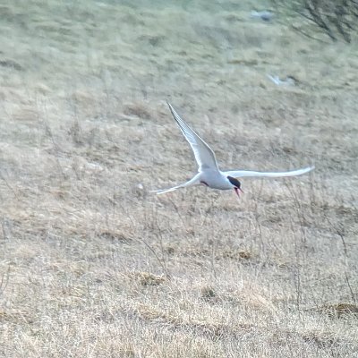 original_80b4153b-6b21-4cef-a18c-373b07f15bb7_PXL_20240518_204621002