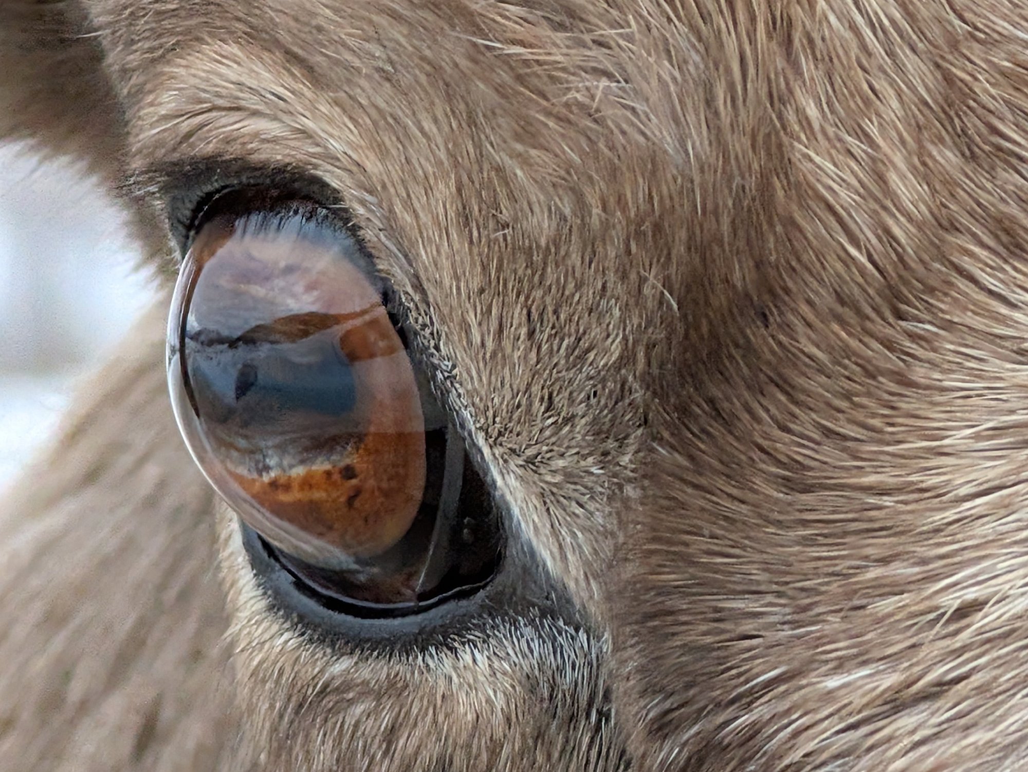 PXL_20250102_220857935