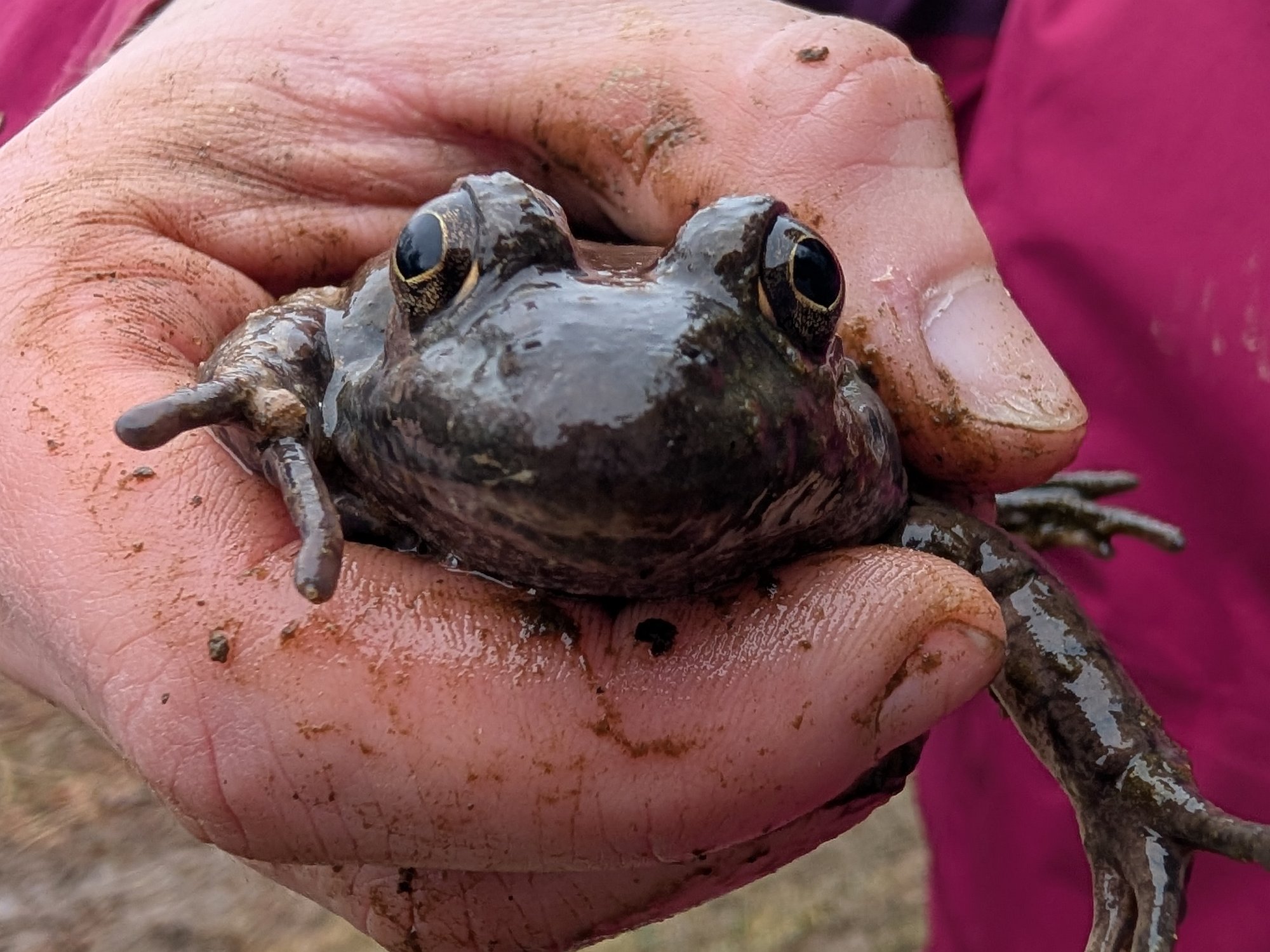 PXL_20250206_162301980