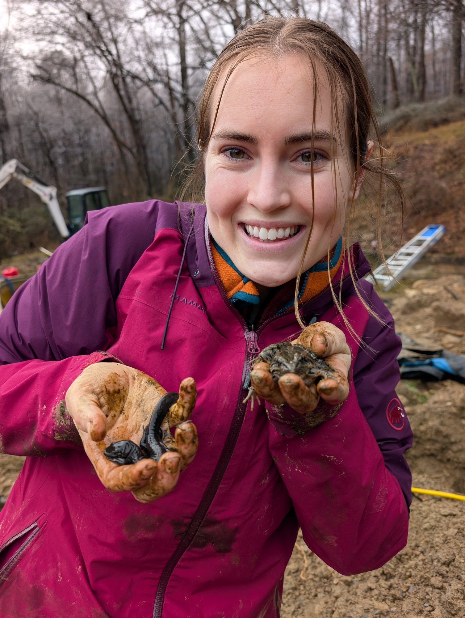 PXL_20250206_171851764