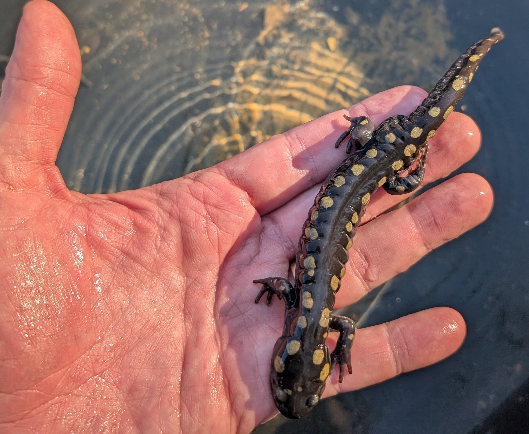 PXL_20250310_211206101.MP