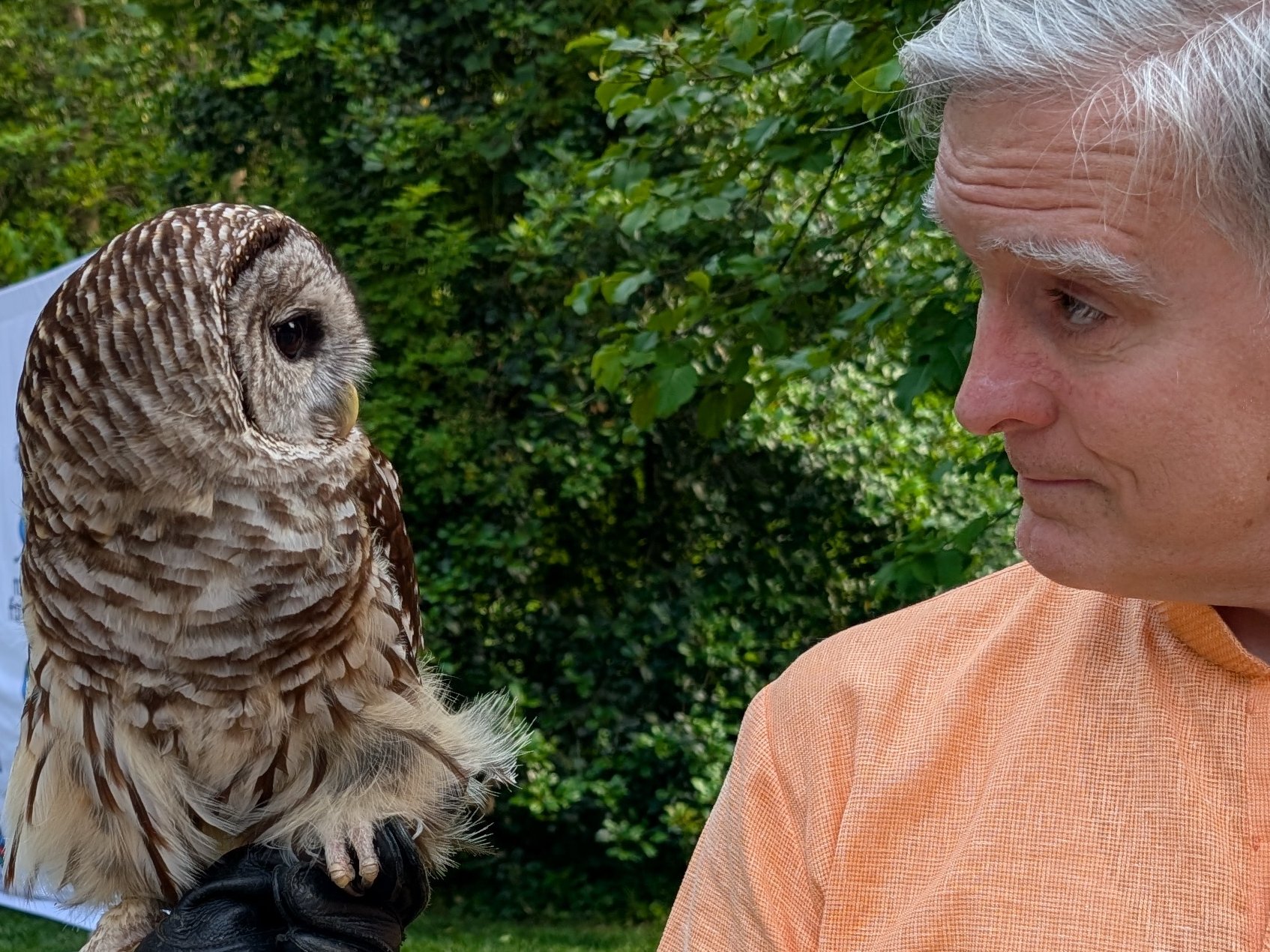 PXL_20250605_220956108.MP