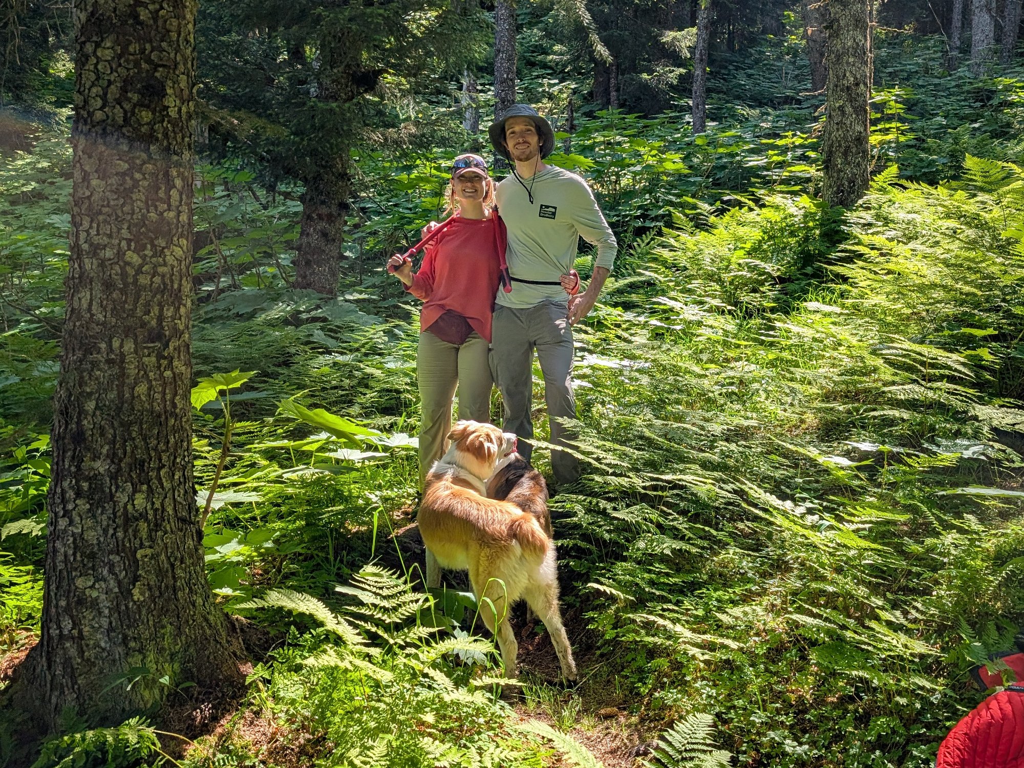 PXL_20250630_204354197