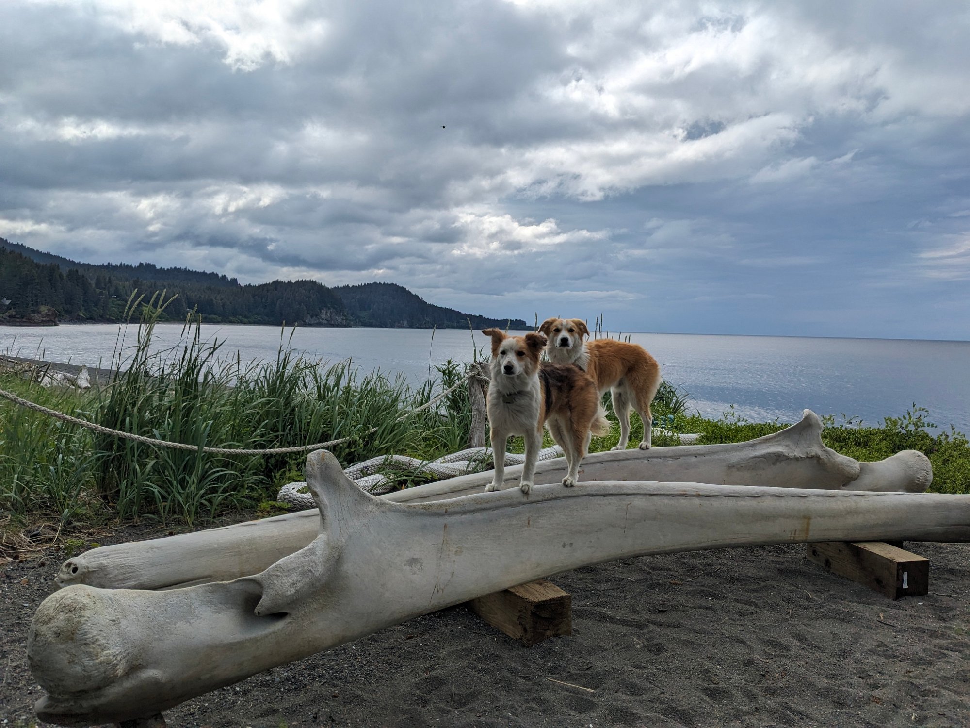 PXL_20250702_020221354