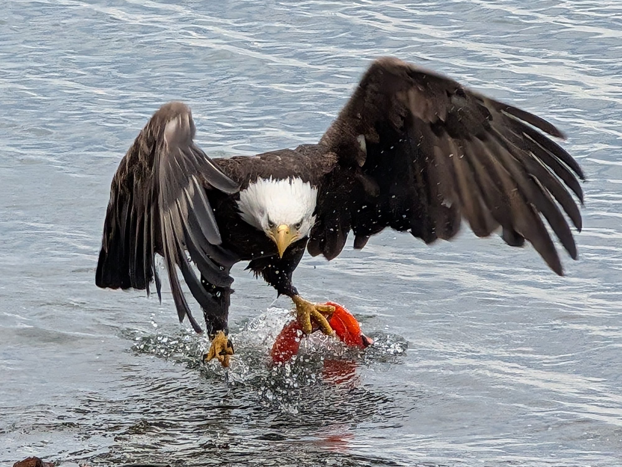 PXL_20250702_025843887