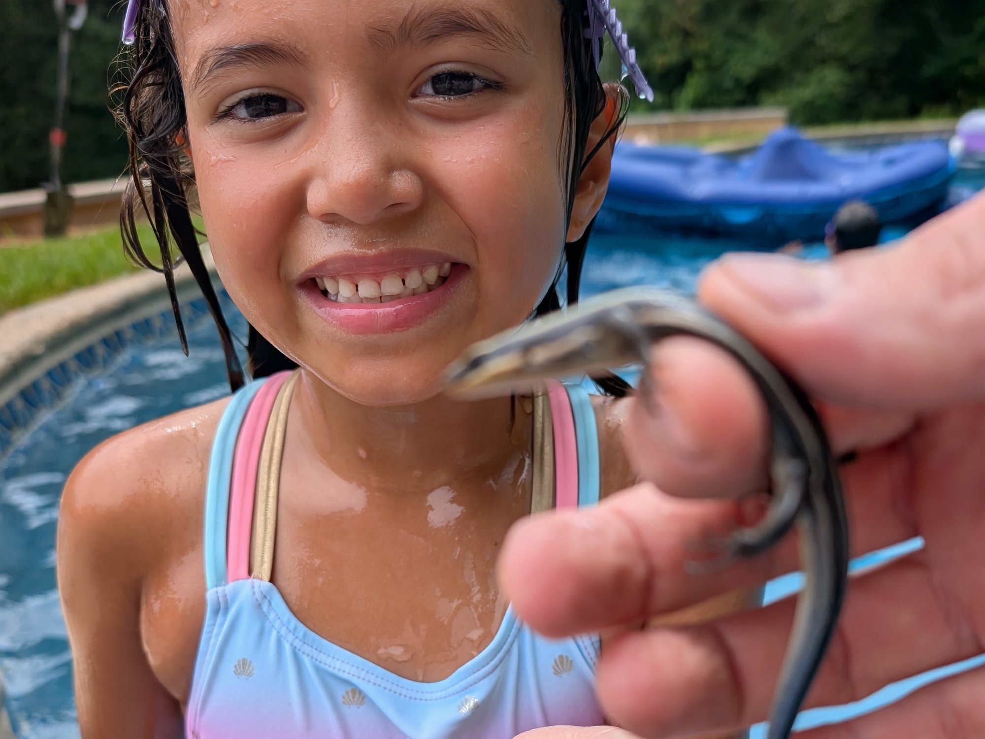 PXL_20250726_164654447.NIGHT