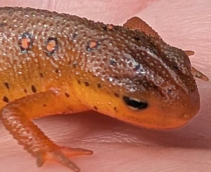 PXL_20250907_160452826b