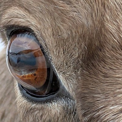 PXL_20250102_220857935