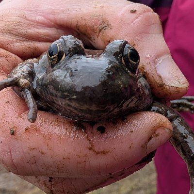 PXL_20250206_162301980