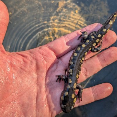 PXL_20250310_211206101.MP