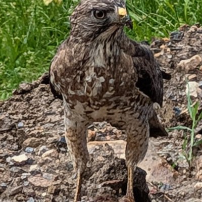 PXL_20250504_151900942b