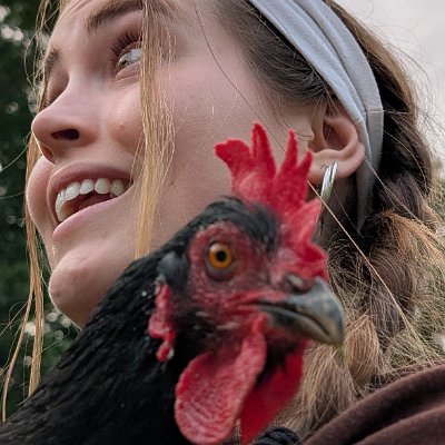 PXL_20250601_234025697.MP