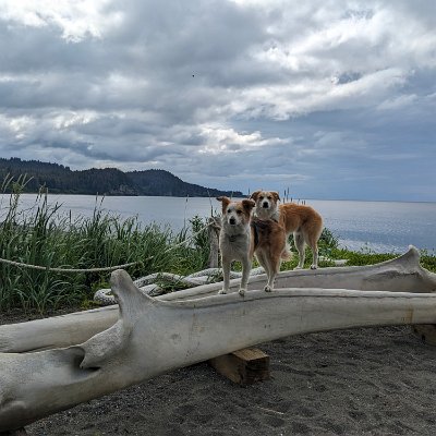 PXL_20250702_020221354