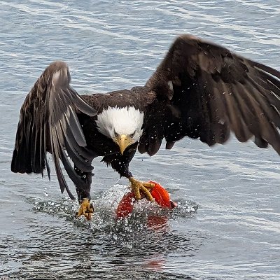 PXL_20250702_025843887