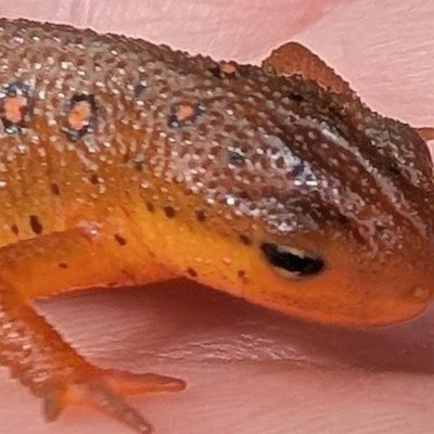 PXL_20250907_160452826b