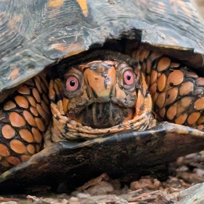 original_8d0abe67-9df5-43ea-8c4d-4ba8bf91e81b_PXL_20250503_214949663